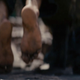 Illustration for article titled emDark Knight Rises/em trailer screencaps show just how bad it gets for Bruce Wayne
